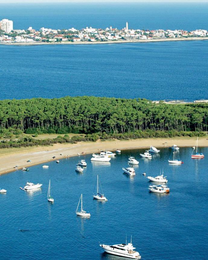 photo_2025-01-25_18-13-27 (2)