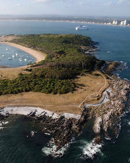 photo_2025-01-25_18-13-27