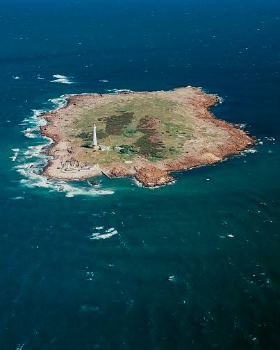 photo_2025-01-25_18-26-12