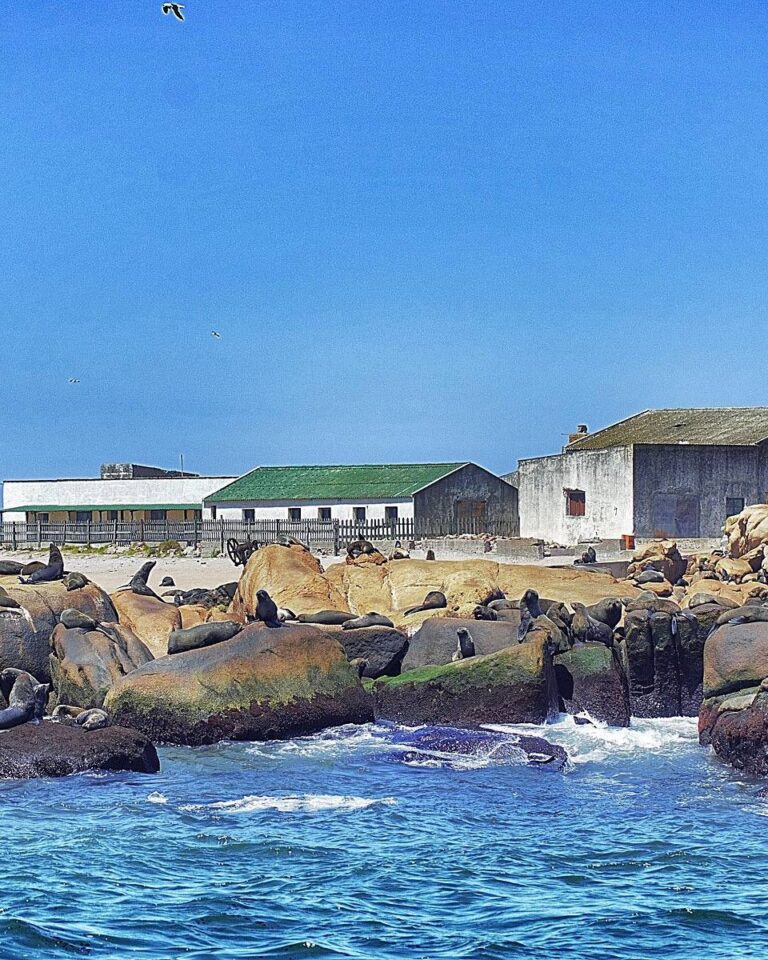 photo_2025-01-25_18-26-14