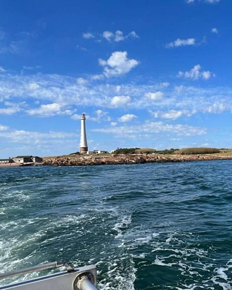 photo_2025-01-25_18-26-15