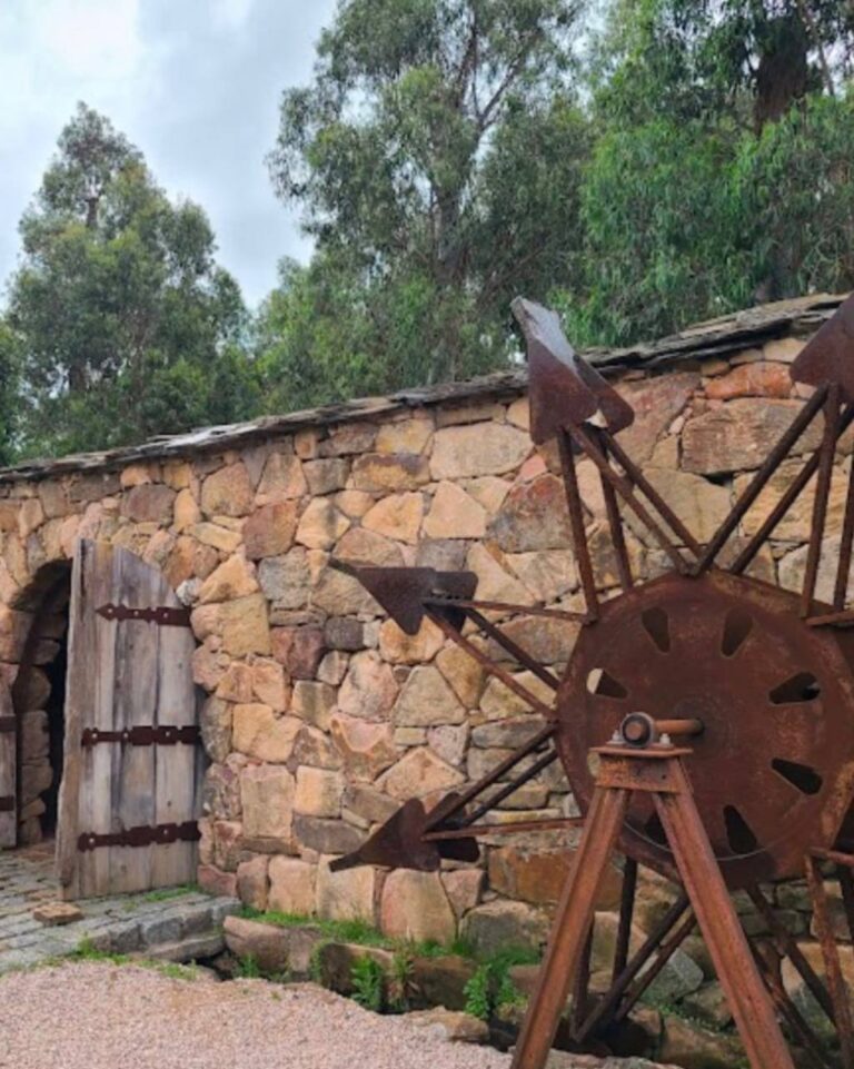 photo_2025-01-25_22-58-45