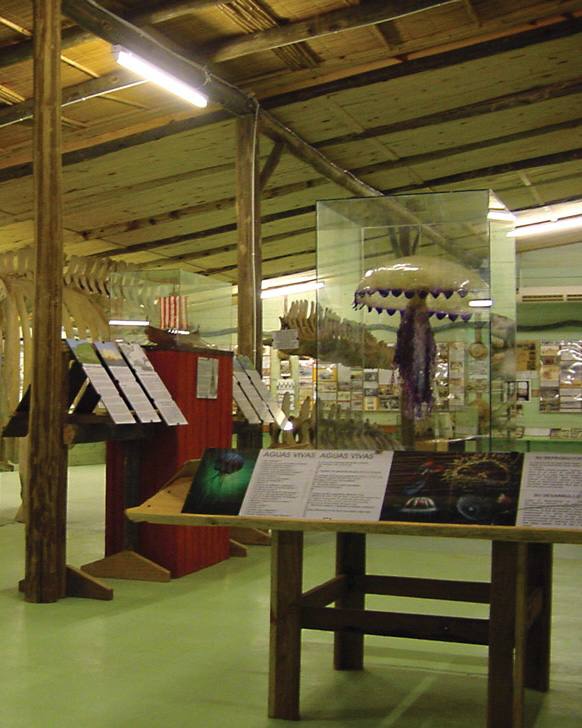 photo_2025-01-25_23-09-45