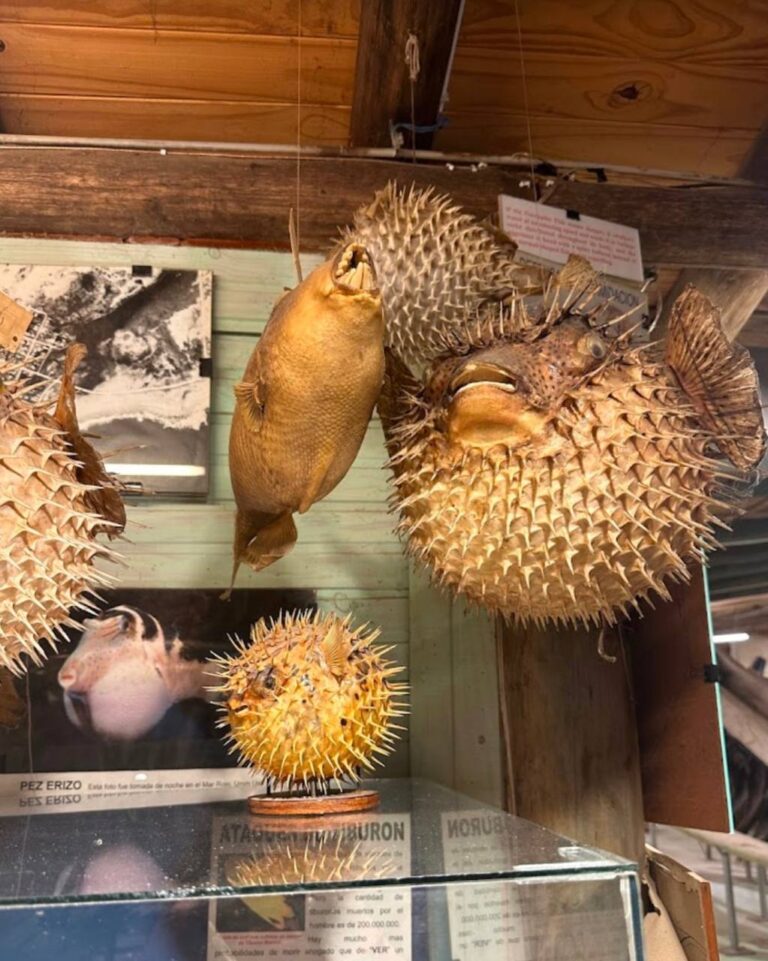 photo_2025-01-25_23-18-22