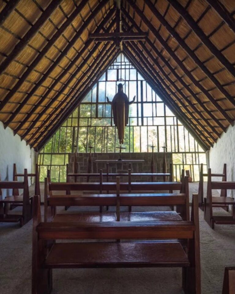 photo_2025-01-25_23-38-13