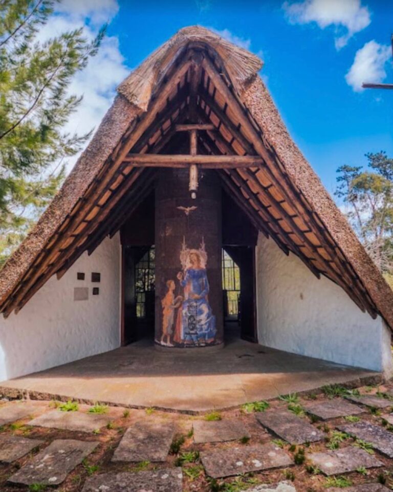 photo_2025-01-25_23-38-14