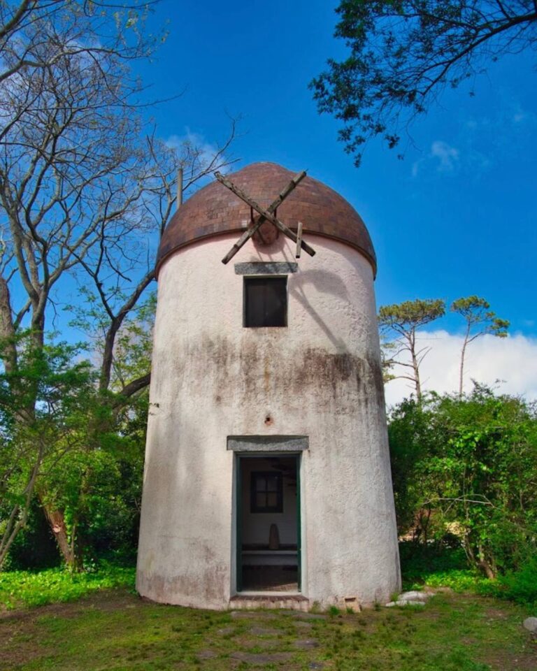 photo_2025-01-25_23-38-15