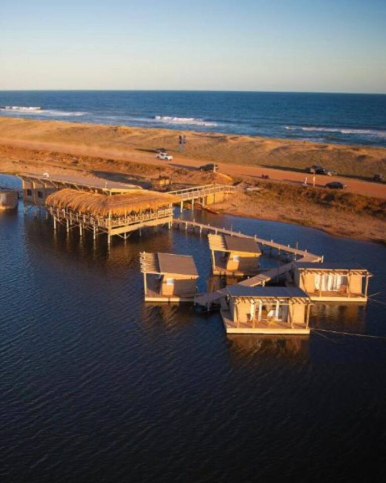 photo_2025-01-26_00-03-15