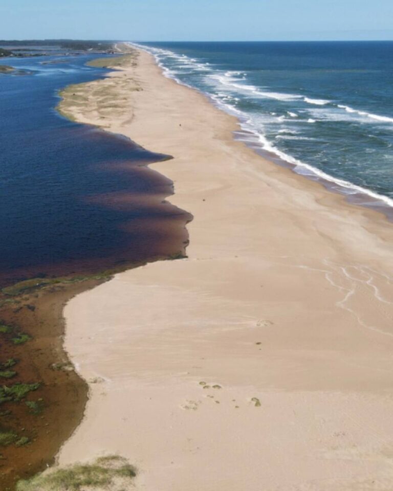 photo_2025-01-26_00-03-16