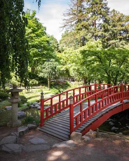 photo_2025-01-26_00-14-15