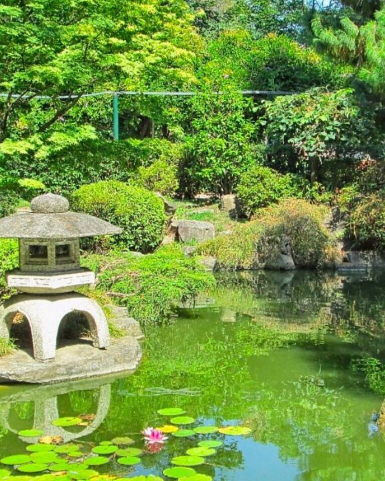 photo_2025-01-26_00-14-16