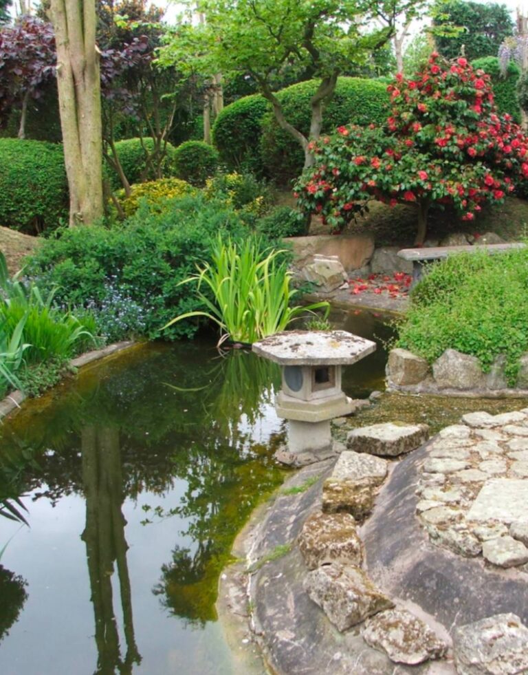 photo_2025-01-26_00-14-18