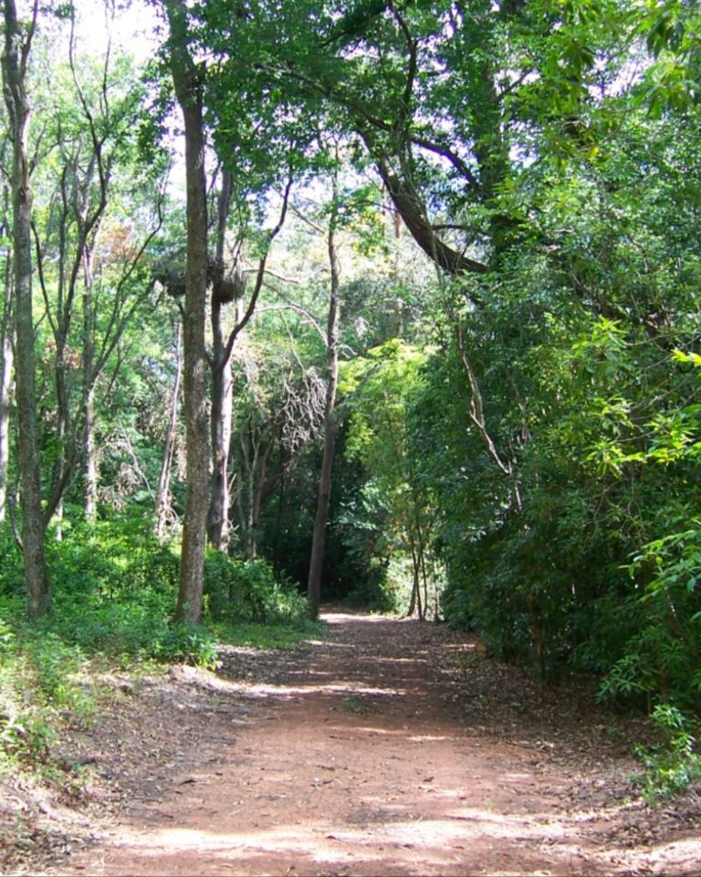 photo_2025-01-26_00-29-13