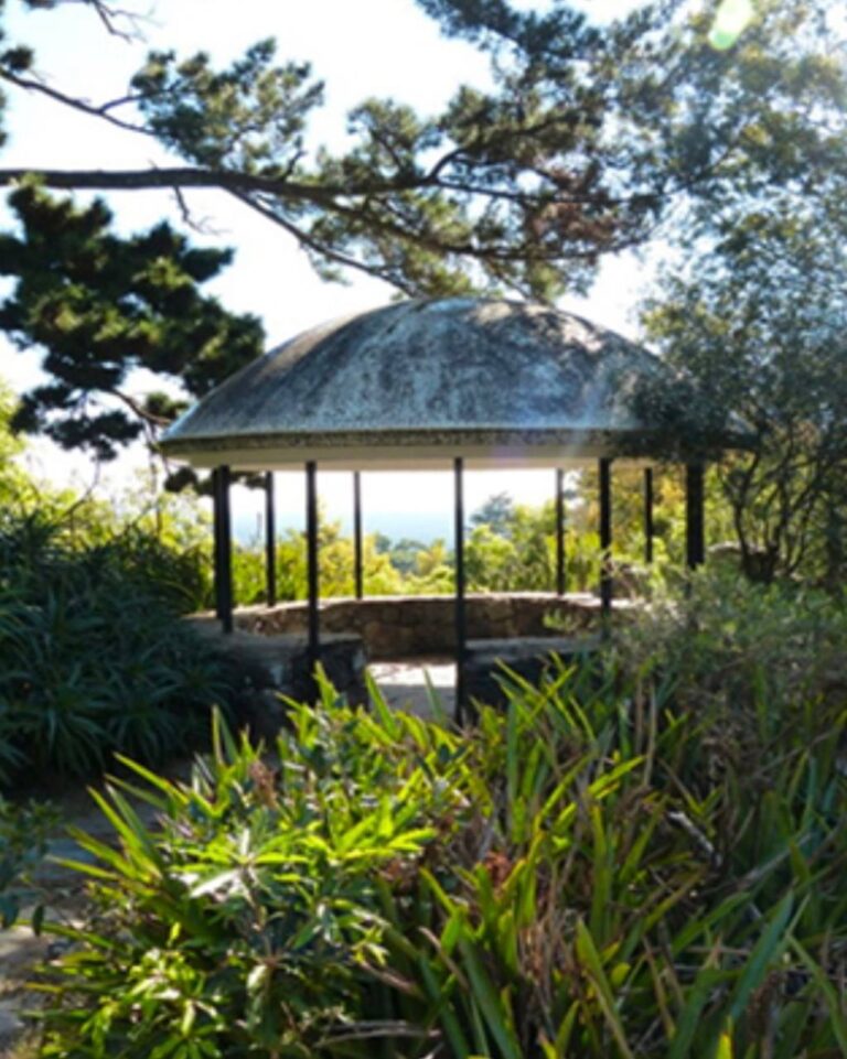 photo_2025-01-26_00-29-15