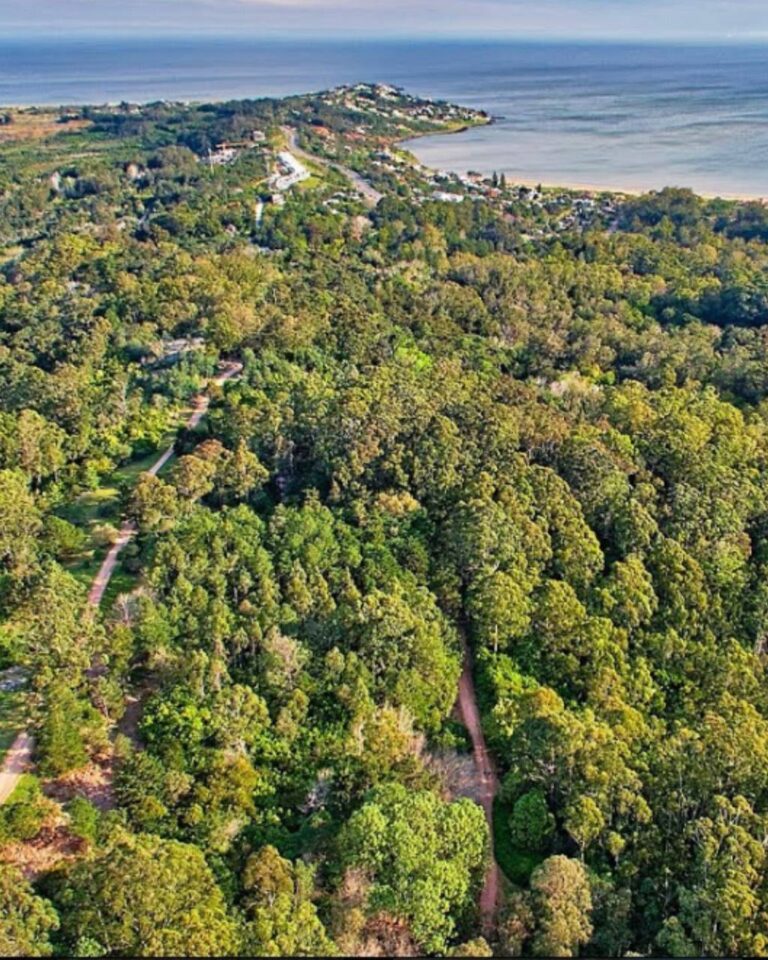 photo_2025-01-26_00-29-16