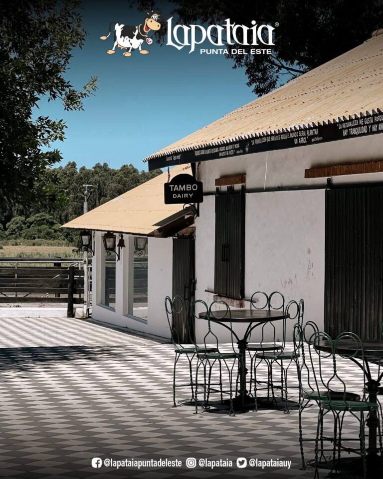 photo_2025-01-26_00-33-15