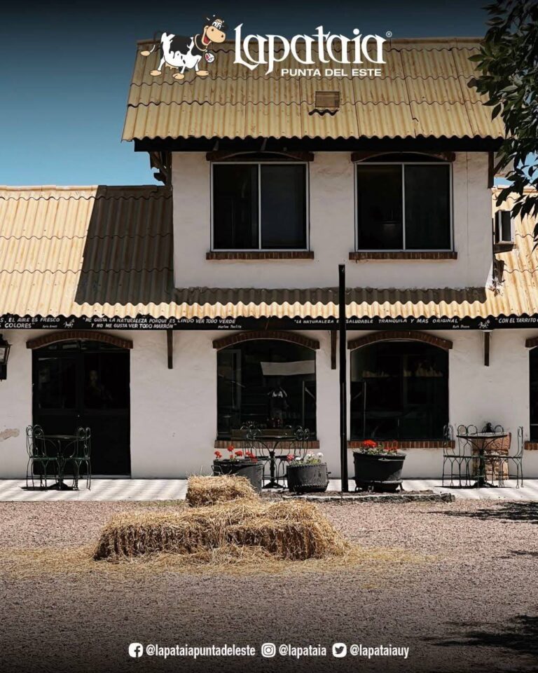 photo_2025-01-26_00-33-16