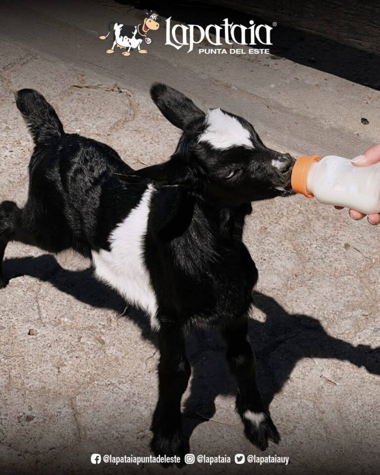 photo_2025-01-26_00-33-17